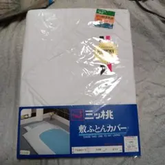 Item thumbnail for item 987deb64-5480-4532-8974-179912cf8af7