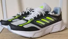 Item thumbnail for item 6a82a287-fe37-4817-94be-d557909e6040