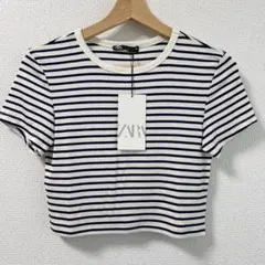 ZARA 半袖Tシャツ　クロップド丈　ミニT ボーダーのサムネイル