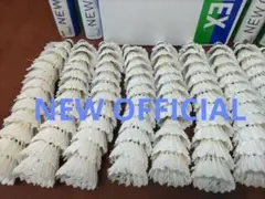 Item thumbnail for item 8af53493-e321-43ec-8ae0-2094ffc710c2