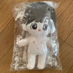 パクヒョンシクぬいぐるみ20cm 色移り防止インナー付 - メルカリ