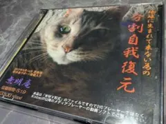 2026年最新】無明庵eoの人気アイテム - メルカリ