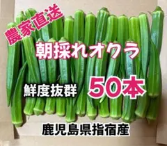 【訳あり】鹿児島県指宿産　朝採れオクラ50本　混合品のサムネイル