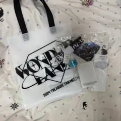 TREASURE ペンミ WONDERLAND プレミアムシート特典 銀テ