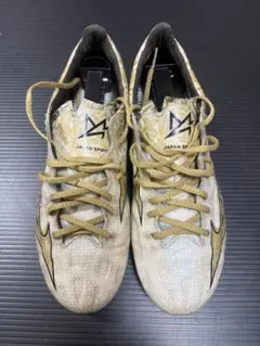 ミズノアルファ japan 24.5