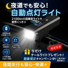 Item thumbnail for item f4203027-ddfe-4fb1-882b-de5cd6a3e57b