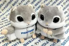 北海道日本ハムファイターズ 動物ぬいぐるみくじ 4等モモンガ【福島蓮＆柳川大晟】のサムネイル
