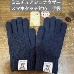 Item thumbnail for item df8b7205-4e4a-4957-bb3f-c7461e50293c