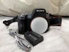2026年最新】SONY α550 dslr-a550の人気アイテム - メルカリ