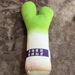 産地直送新鮮ねぎ クッション