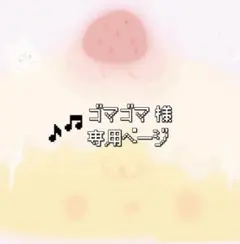 ゴマゴマ 様リクエスト 3点 まとめ商品