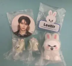 SKZOO ライトマスコット リービット リノ　ガチャ　缶バッジ