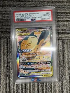 2026年最新】カビゴンgx プロモ psa10の人気アイテム - メルカリ