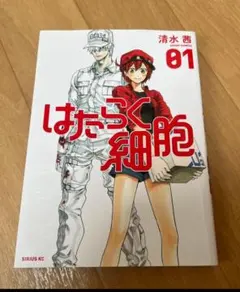 Item thumbnail for item bab38b68-acce-4450-a0da-d5746a46cd1a