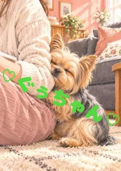 《一点限り》ヨークシャーテリア 犬 飼い主 甘える 癒し