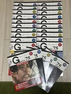Gメン’75DVDコレクション 1号〜25号　美品　オリジナルロゴグッズ付