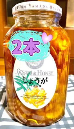 山田養蜂場 しょうがはちみつ漬 900g 2本のサムネイル