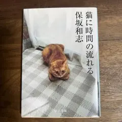 猫に時間の流れる