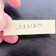 こたまる様専用　ソイネショップ