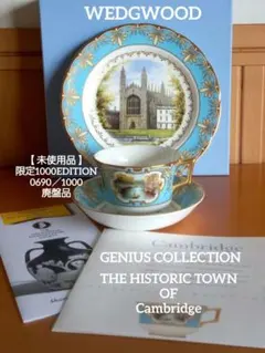 2026年最新】ウェッジウッド GENIUS COLLECTIONの人気アイテム - メルカリ