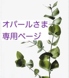 オパールさま専用ページ