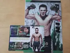 RIZIN ラジャブアリ・シェイドゥラエフ クリアファイル＆ステッカー
