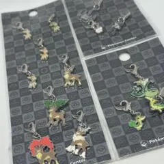 ポケモン図鑑 メタルチャーム312 ポケモンセンター マイナン チャーム