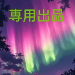 ゆかりん様専用出品