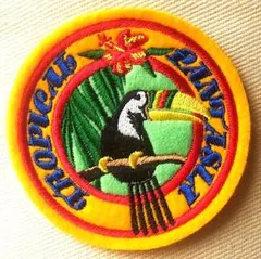 【送料込み】新品☆木の枝に止まったオオハシ（南米の鳥）のワッペン 縫い付け専用