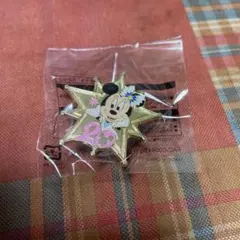 ディズニーシー ピンバッジ 20周年 ミニー