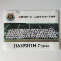 阪神タイガース 2003年セントラルリーグ優勝記念クリアファイル