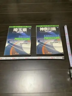 村上春樹　東野圭吾　patagonia ルルブ　埼玉県・神奈川県　2冊セット