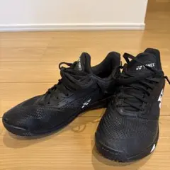 YONEX AD-ACCEL(パワークッションアドアクセルMGC) 26.0cmのサムネイル