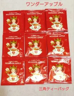 【9袋】ワンダーアップル　オリジナルサイズ　カレルチャペック　個包装ティーバッグのサムネイル