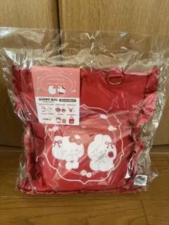 ドンキ限定 サンリオ ハッピーバッグ キティ&タルト 福袋 スタジオ