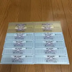 【最新】ゼビオホールディングス株主優待券 10%8枚、20%2枚 割引券