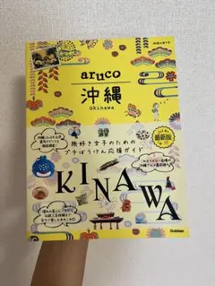 aruco 沖縄