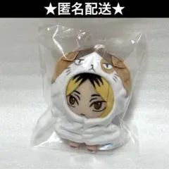 ハイキュー　セガラッキーくじ　ラストラッキー賞　孤爪　研磨　ケンマネコ