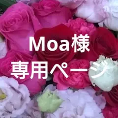 Moa様専用ページです。