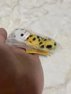 レオパのぬいぐるみキーホルダー