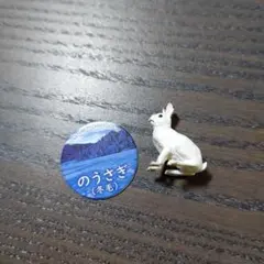 リアルかわいい野うさぎミニチュアフィギュア動物レア自然プレート付き冬毛