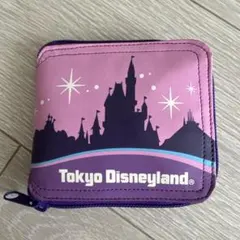 東京ディズニーランド　ミッキー　ミニー　エコバッグ