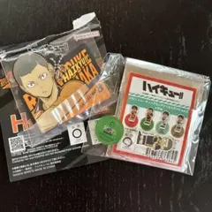 ハイキュー　ジロリ ミニアクリルスタンド vol.2 ラバーチャーム　田中龍之介