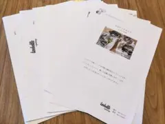 Item thumbnail for item 87822536-5805-4a55-a907-b3f2a7229270