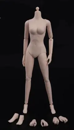 特典付] 非玩玩具 Nottaa Toys 1/12 女性素体 小芳 FANG - メルカリ