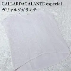 GALLARDAGALANTE especial ニットベスト F アイボリー