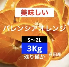 74)美味しい　有田産　バレンシアオレンジ　みかん　果物　家庭用のサムネイル