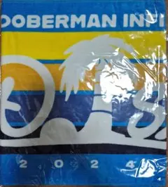 DOBERMAN INFINITY D.Island 2024 タオル