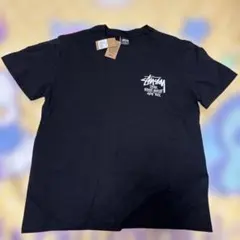 新品　未使用　STUSSY ステューシTシャツ　Ｓ