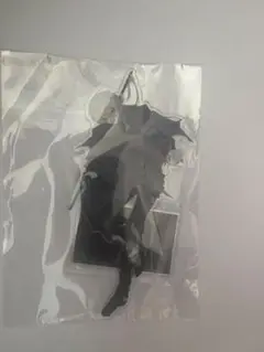葛葉 タロット アクリルスタンド アクスタ にじさんじ